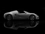 Bugatti Veyron 16.4 Grand Sport Roadster 2008 года
